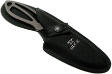 Load image into Gallery viewer, Buck 141 PakLite Large Skinner 3-1/2&quot; Blade with Nylon Sheath